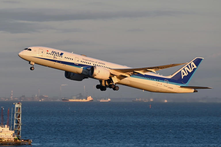 ANA、国内線でタイムセール実施　6月〜9月搭乗分