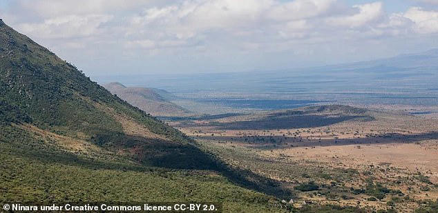 Africa is splitting in two: Scientists uncover a new tectonic boundary ...