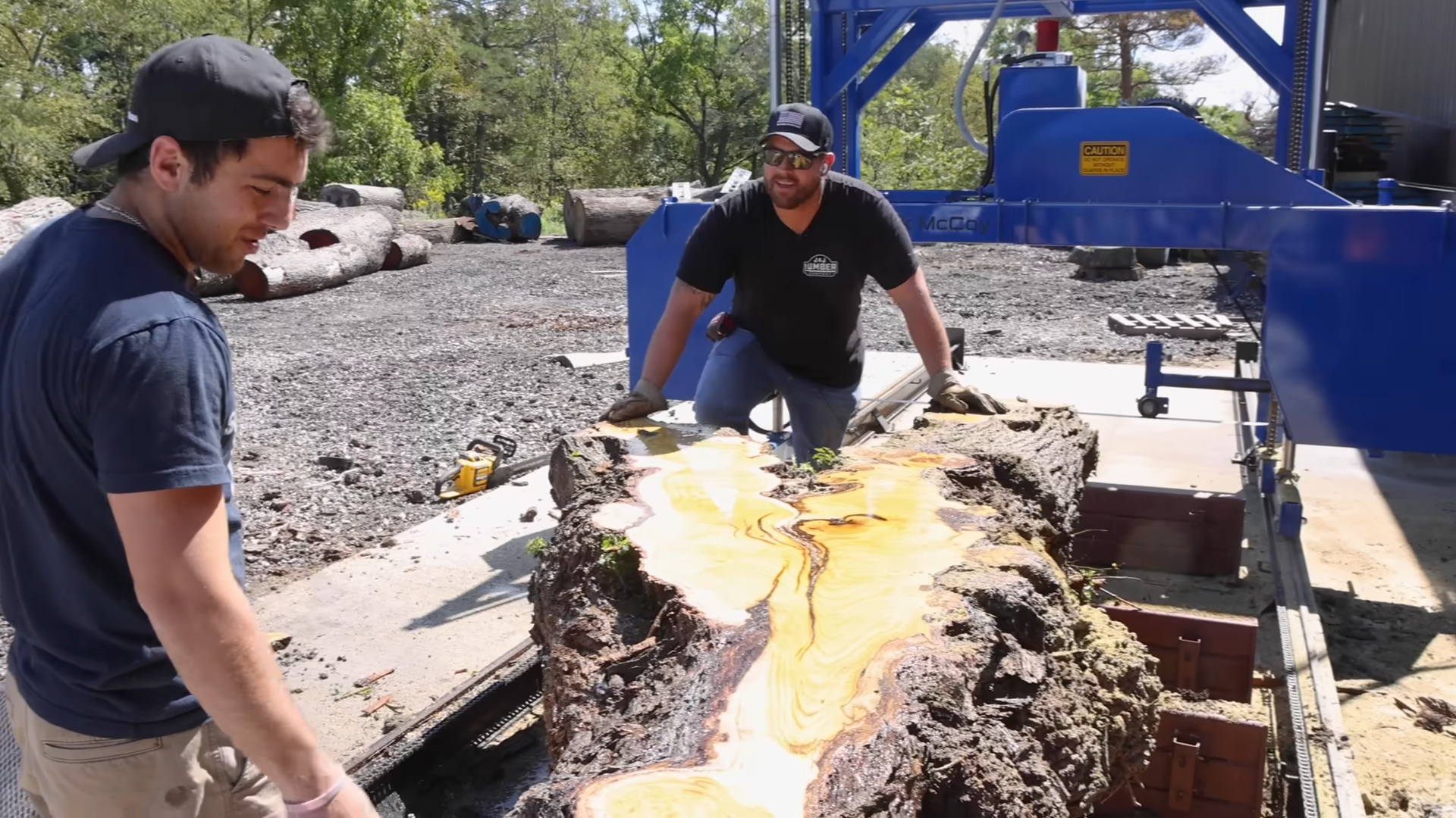 We cut open this massive log - and realized we've become rich