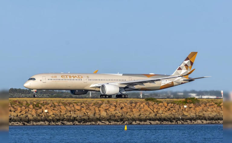 Etihad Abu Dhabi-bound flight returns to gate in Chennai after ...