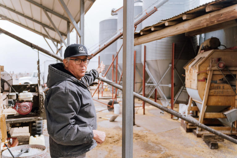 In southern Colorado water is precious. That's why farmers are growing rye