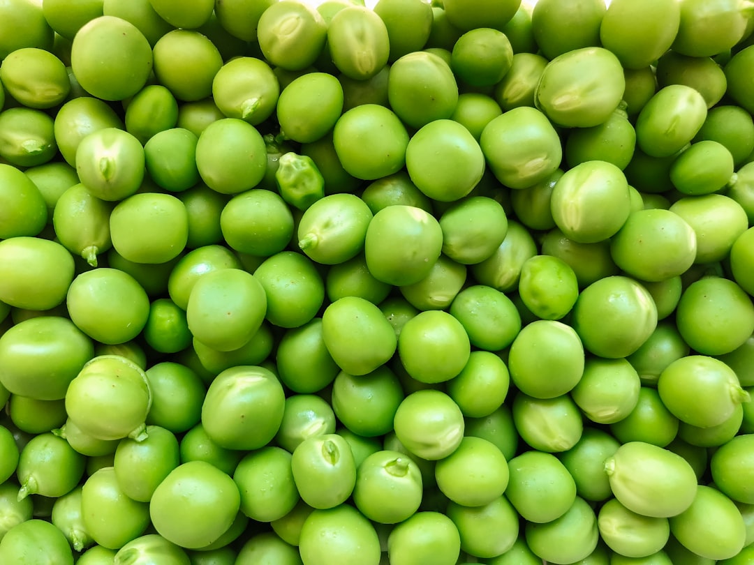 Understanding fiber: Why it's just as important as protein for longevity