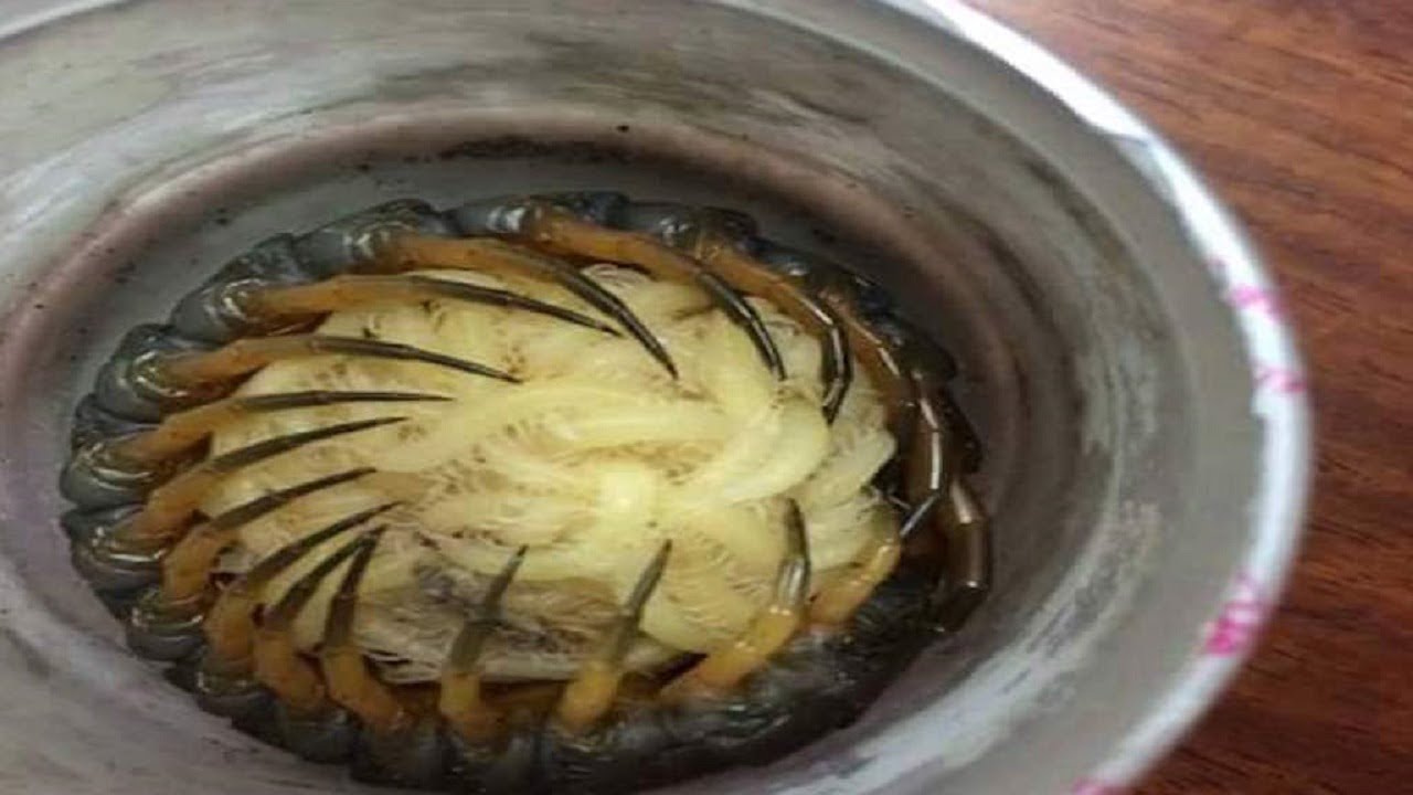 He heard something moving in the bucket and was shocked by what he found