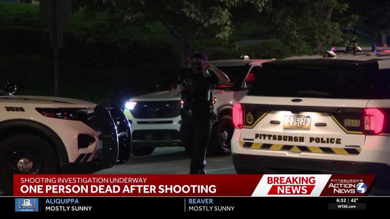 Man dies after being shot in Pittsburgh; dozens of rounds captured by ...