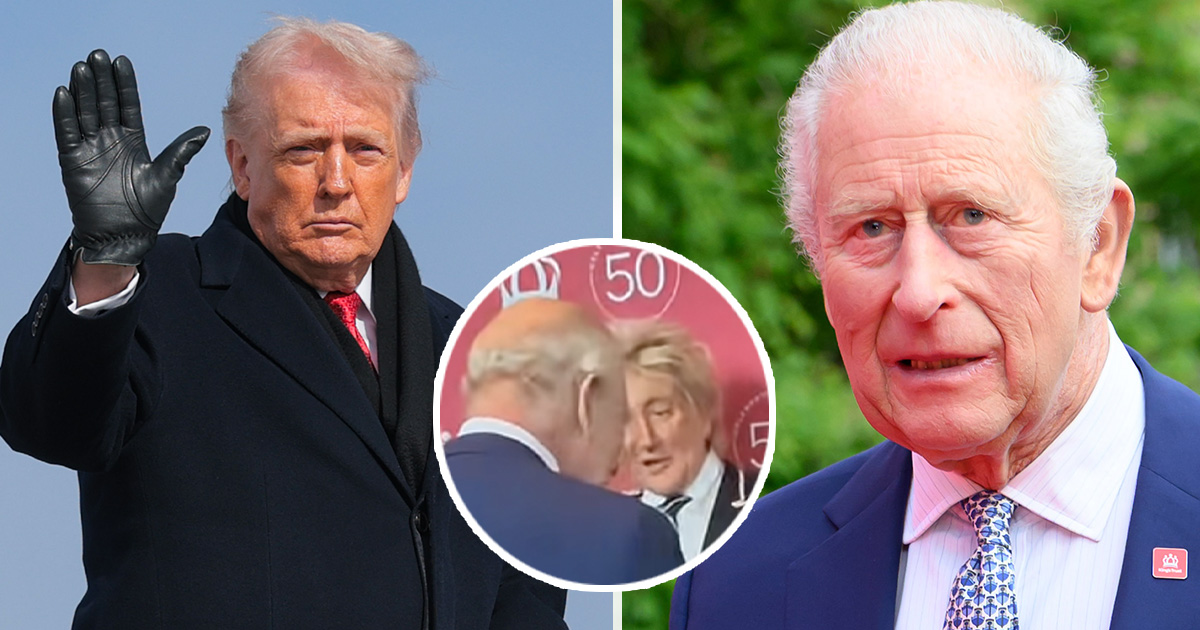 Rod Stewart sparks backlash over bombshell claim involving Donald Trump ...