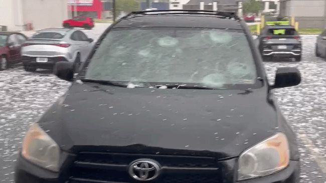 Hail smashes windscreens, kills emu in Missouri