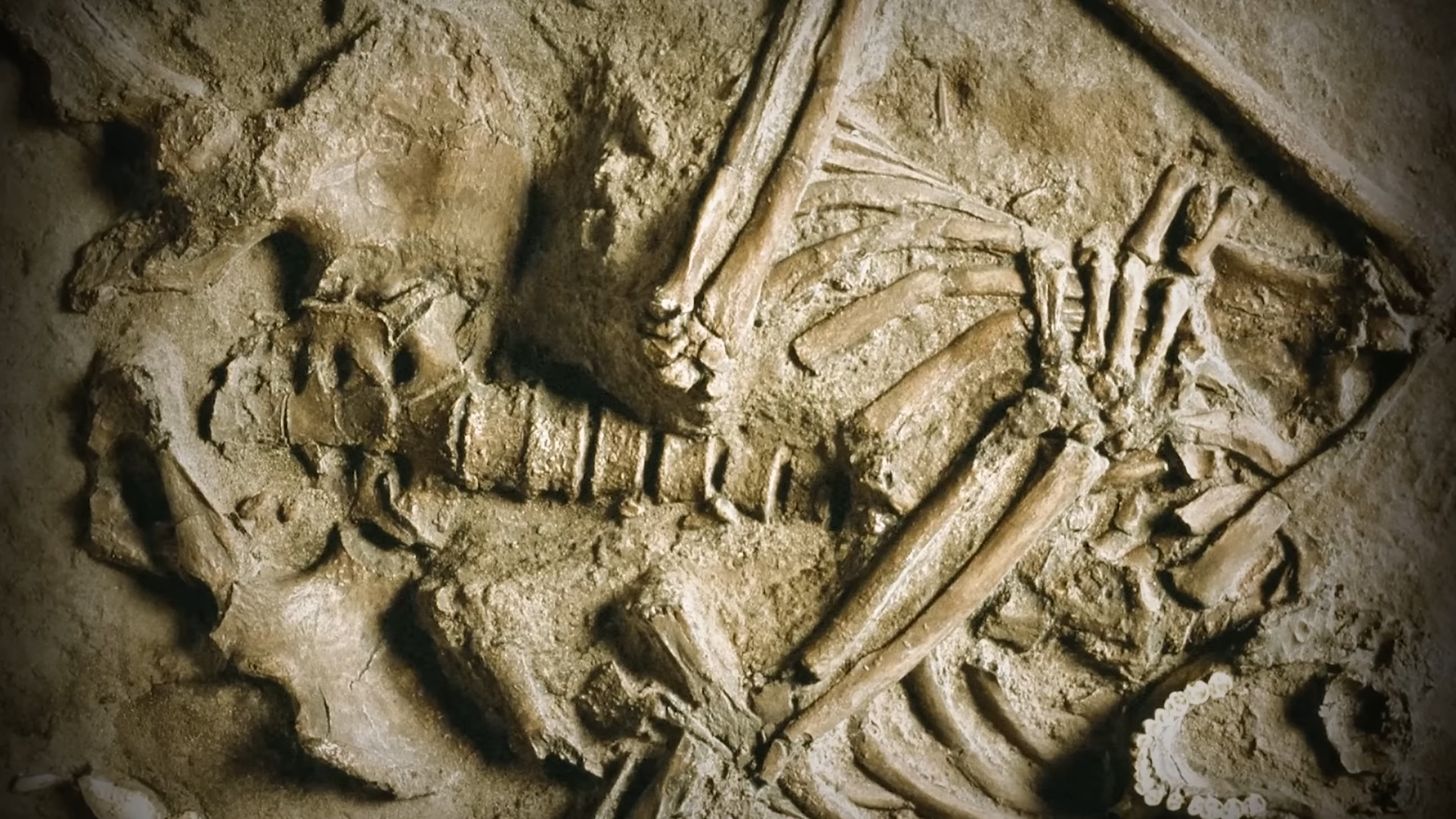 50,000 years ago, humans were prey - and almost went extinct
