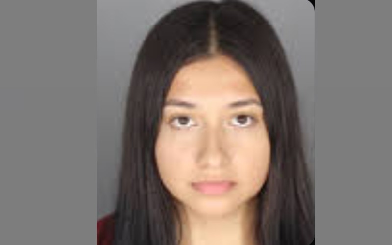 US: Teacher jailed 15 years for sexual abuse of student she tutored ...