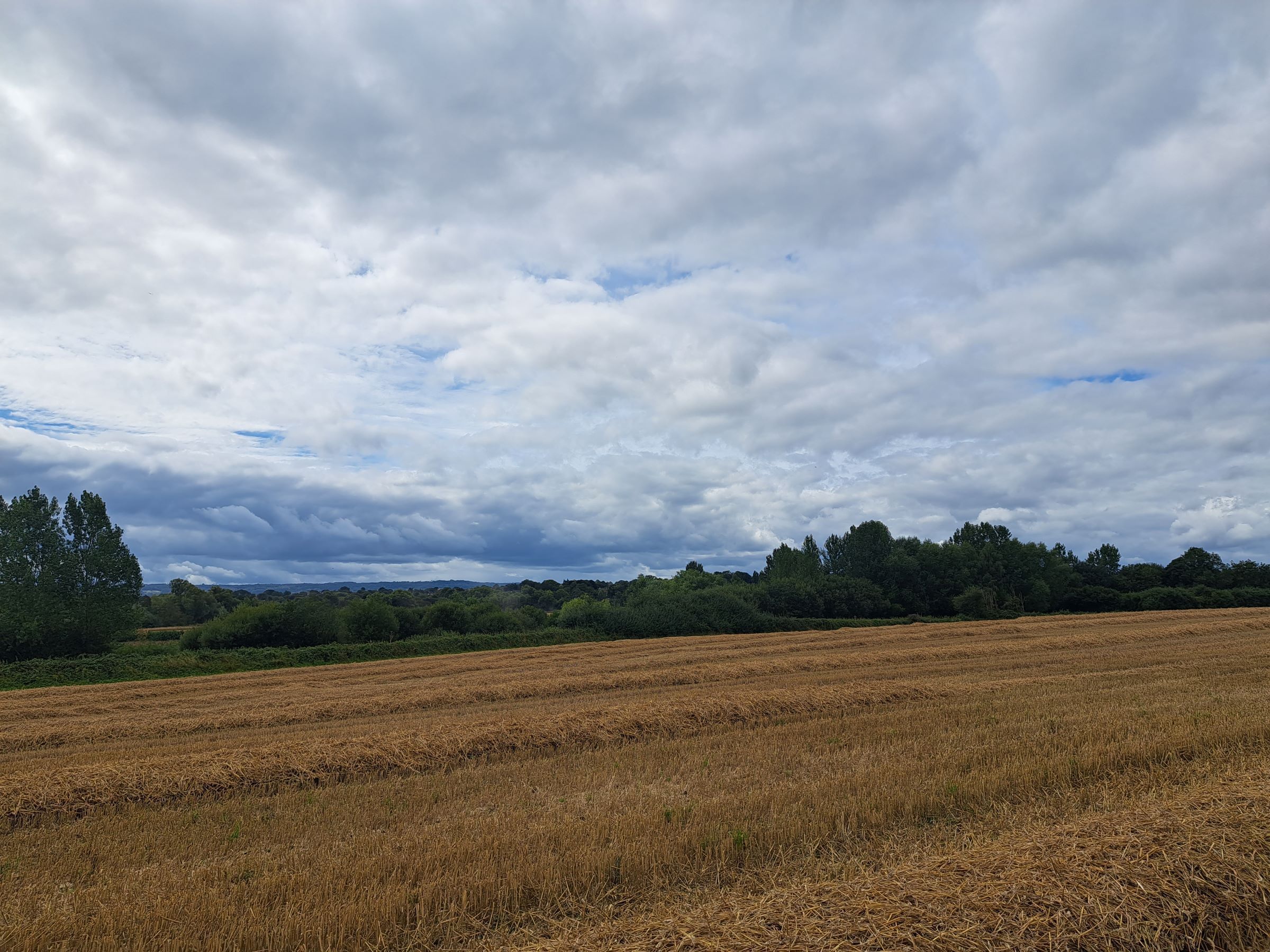 How to make the most of the Met Office app this bank holiday weekend