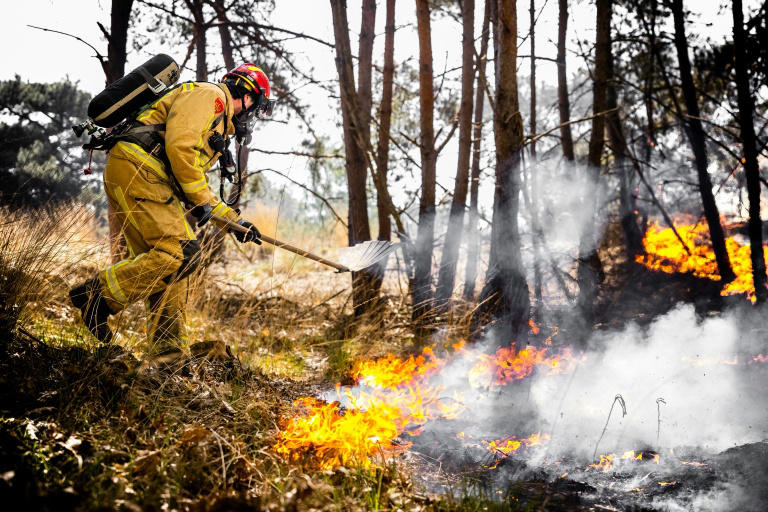 Incendies aux Pays-Bas : La France et l'Allemagne envoient des renforts