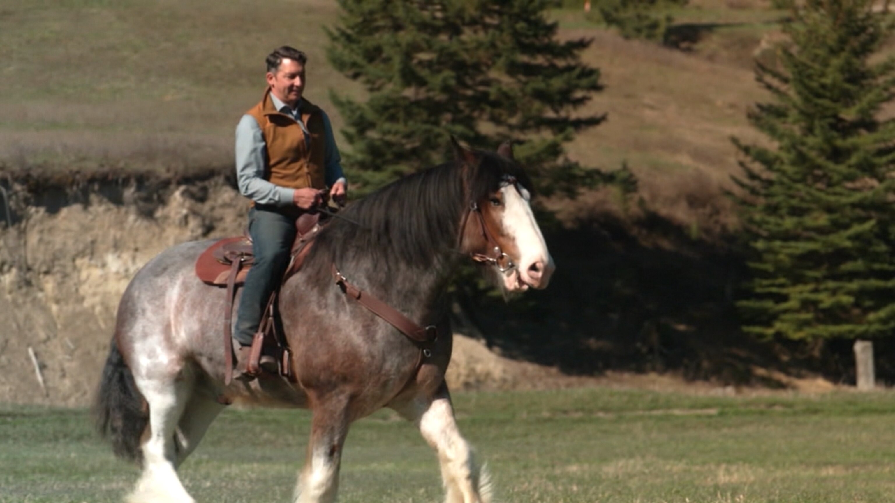 '50 states in 50 weeks' visits Montana