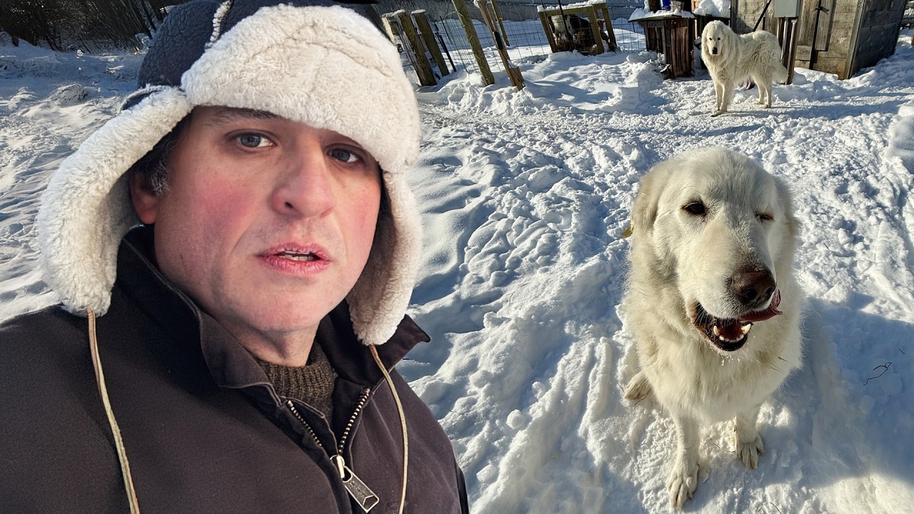 The unexpected lesson my farm dog taught me