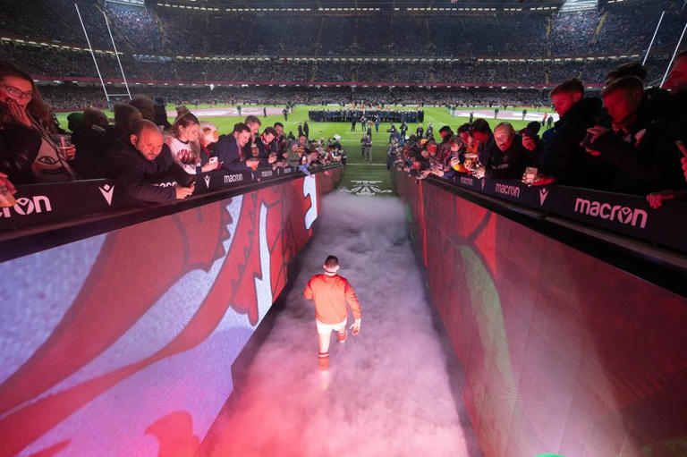 Wales announce new £128 ticket price as autumn seat becomes most ...