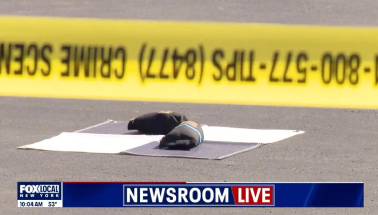 9-year-old boy fatally struck by school bus in Brooklyn