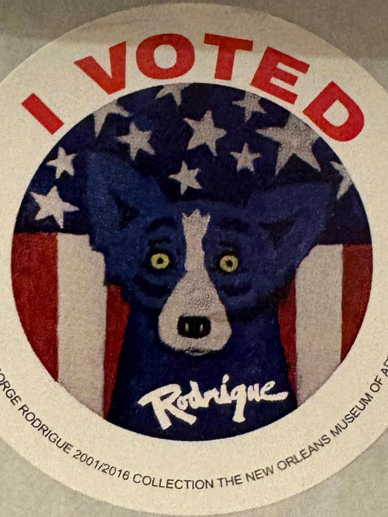 How to vote early in Louisiana election for Senate, Constitution