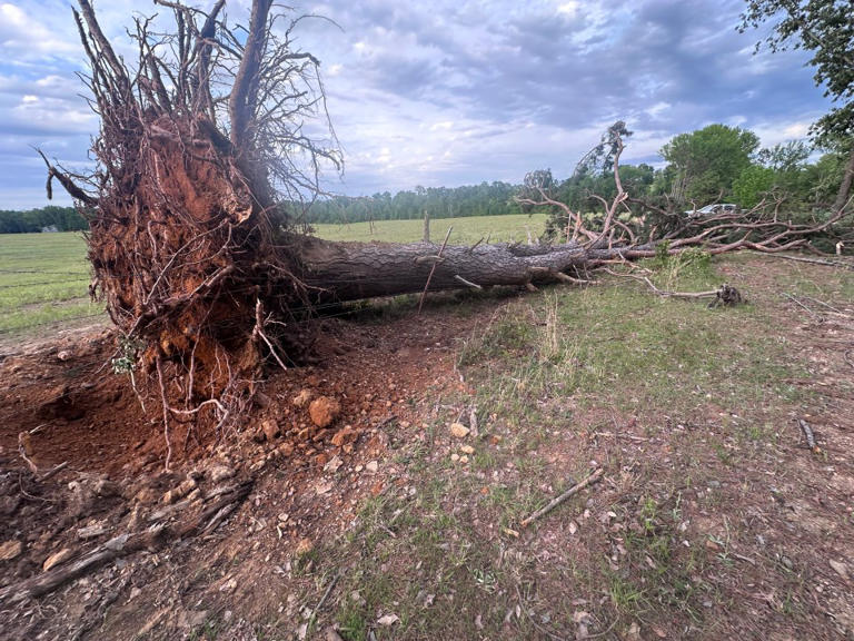 EF-1 tornado confirmed in Cleburne County