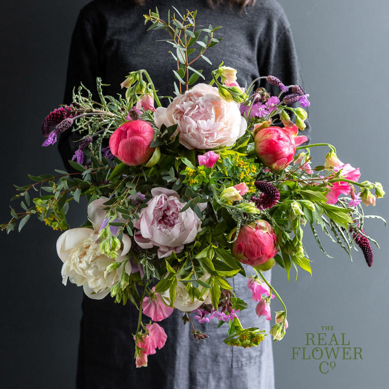 How to grow peonies this spring – your expert guide