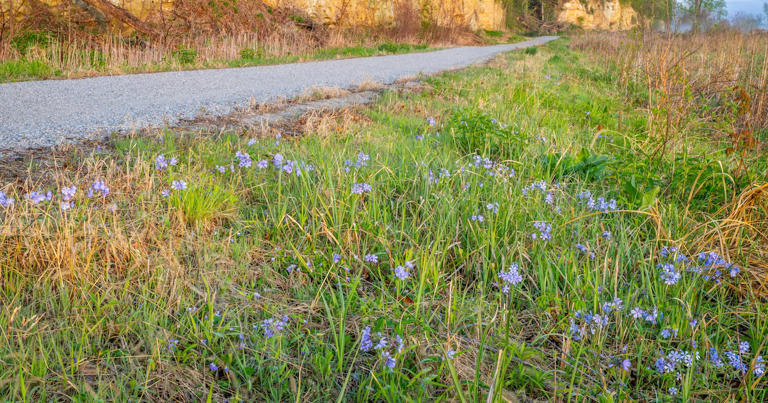 3 Beautiful Trails in Nebraska That Shine in Spring