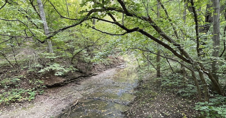 3 Beautiful Trails in Nebraska That Shine in Spring