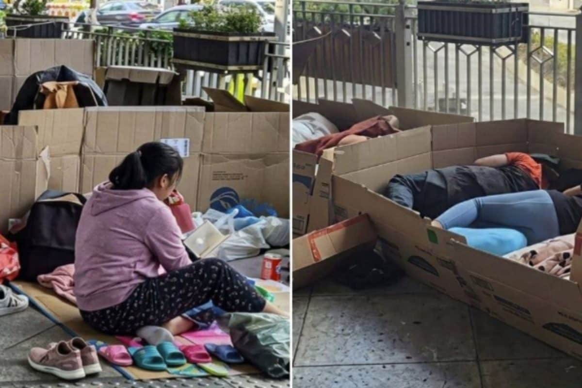 No space of their own: Viral clip shows workers living out of cardboard
