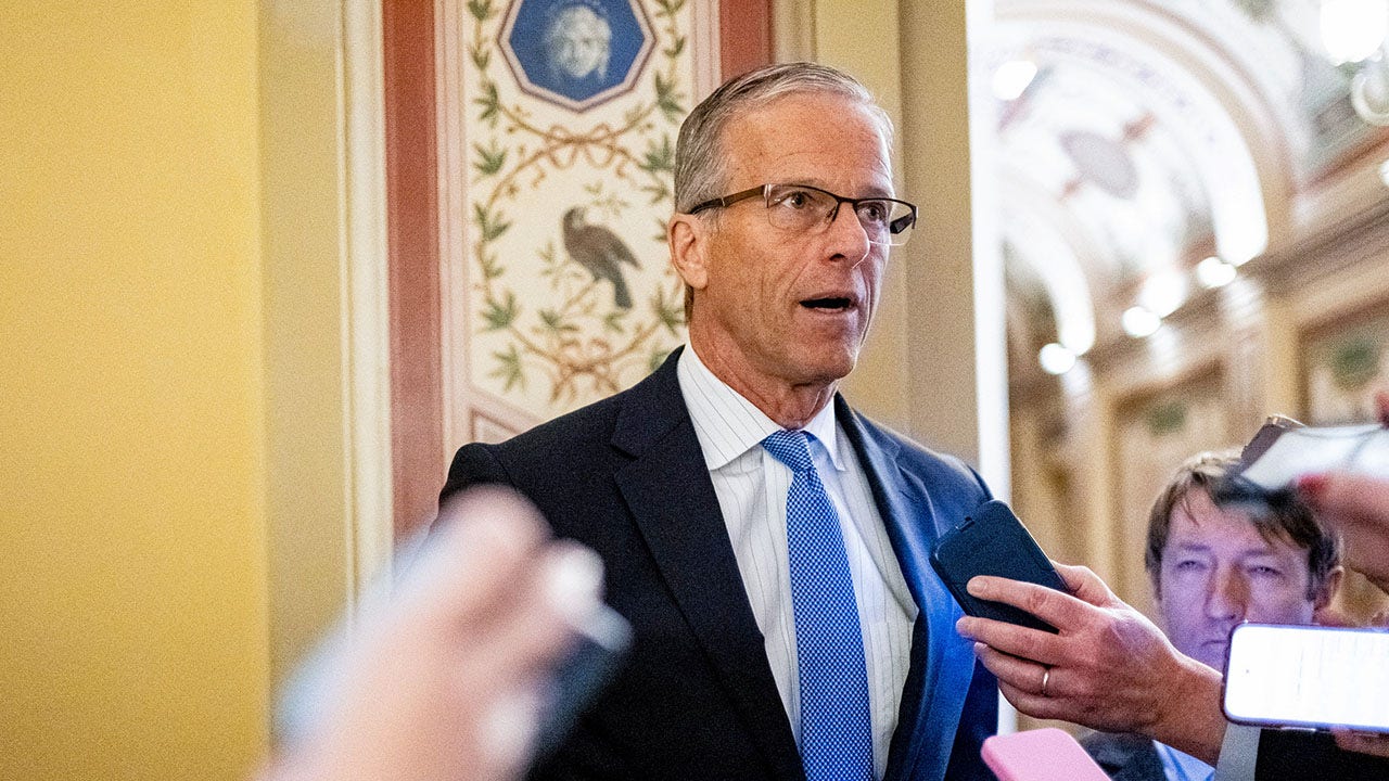 Senate Majority Leader John Thune, R-S.D., spoke to the media at the U.S. Capitol in Washington, D.C., on Feb. 2, 2026, expressing hope that the White House could find a "sweet spot" in negotiations with Senate Democrats to reopen the government amid ongoing political turmoil.
