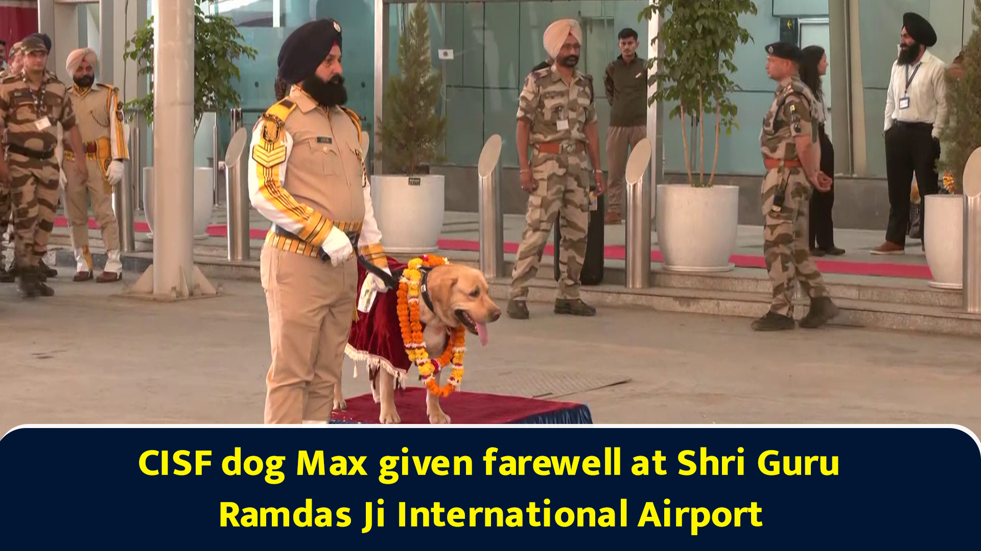 CISF dog Max given farewell at Shri Guru Ramdas Ji International Airport