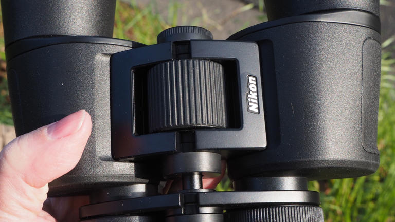 I've found the best bargain binoculars for birders on a budget!