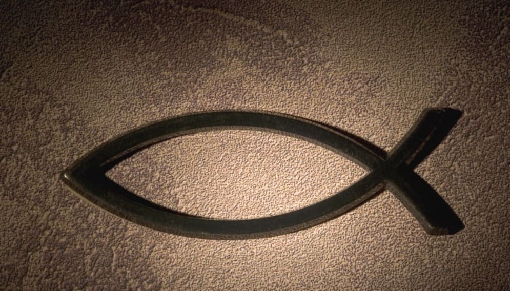 2. Decoding Ichthys