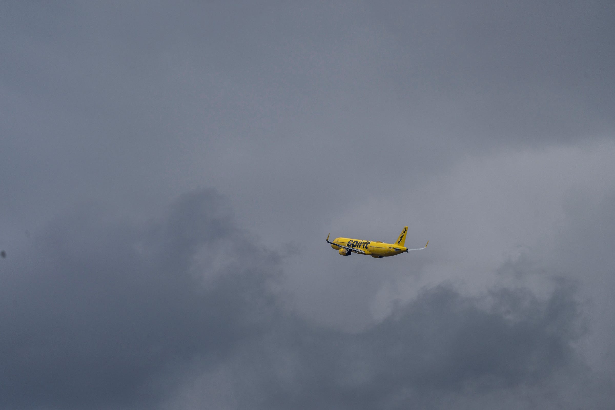 Spirit Airlines' $99 flights turned long-distance love into marriage ...