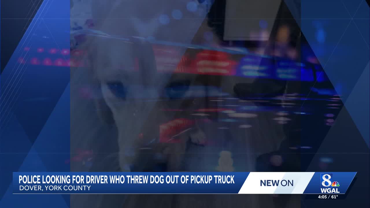 Police looking for driver who threw dog out of moving pickup truck