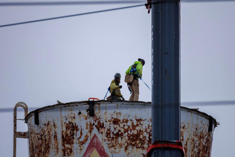 Here comes the cup: Giant Dixie Cup replica is lowered from Wilson ...