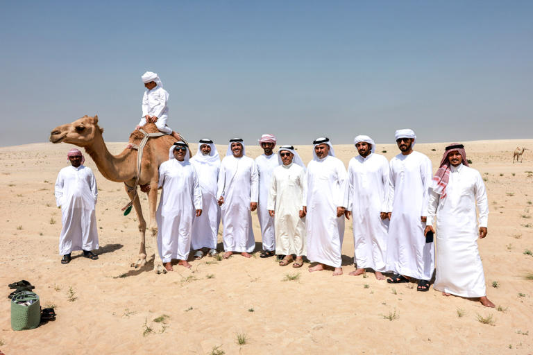 The rains have fallen, the desert's in bloom - and camel grazing season ...