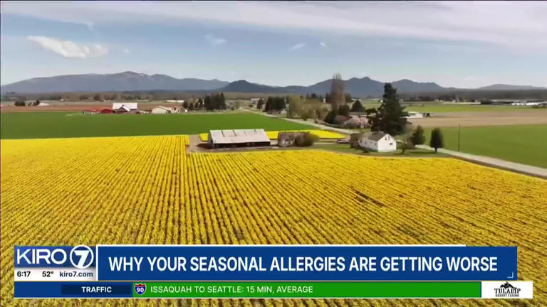 Are your seasonal allergies getting worse?