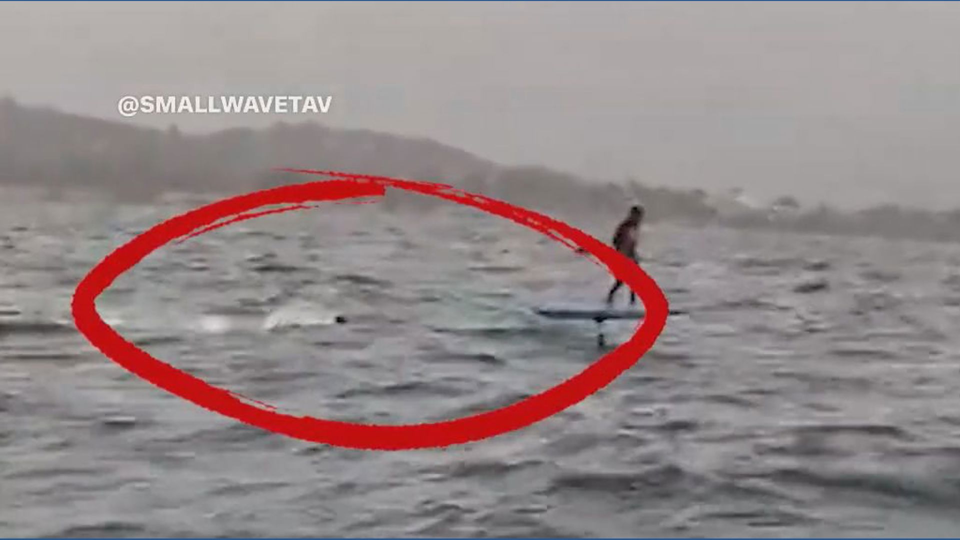 Shark chases foil surfer off Santa Barbara coast in terrifying video