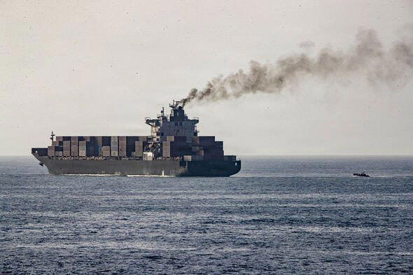 Iran ready to deploy mine-carrying dolphins to blow up US warships in ...