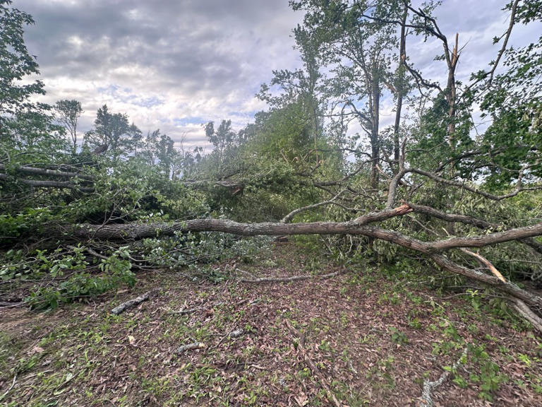 EF-1 tornado confirmed in Cleburne County