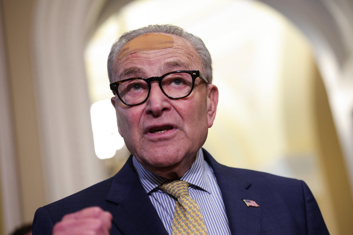 Senate Democrats Launch New Elections Task Force