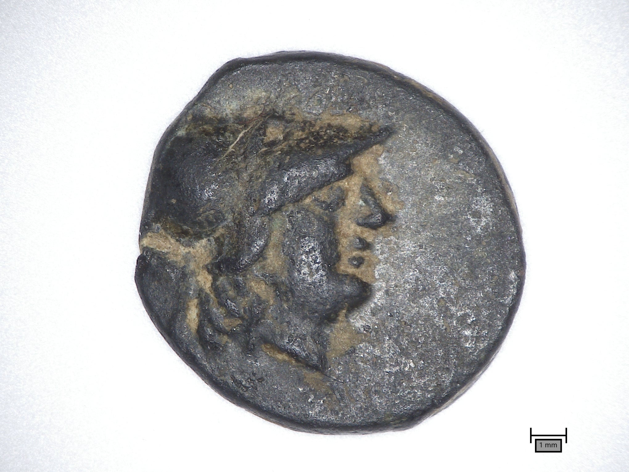 See it: Rare Greek coin from 3rd century BC discovered by 13-year-old ...