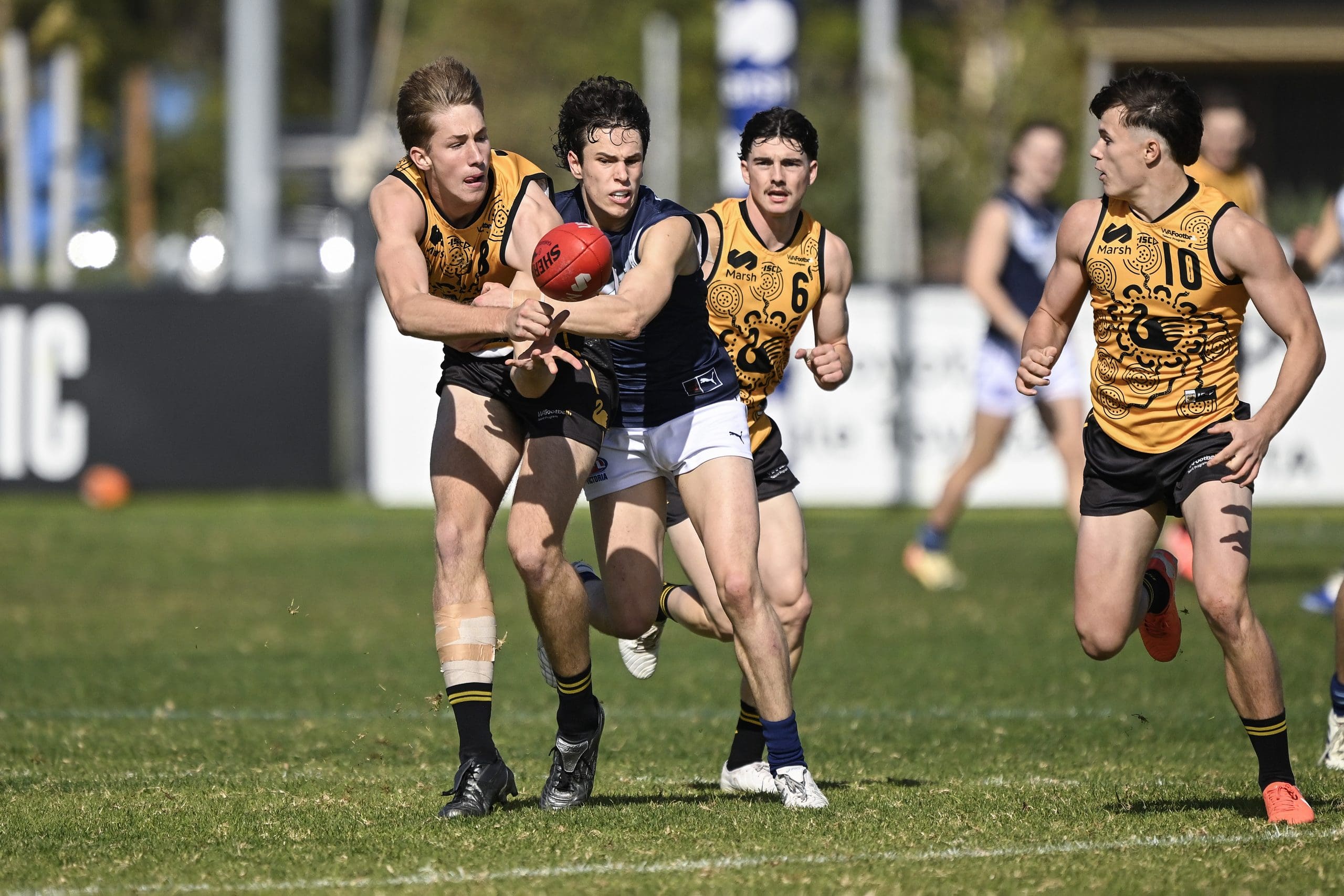 Brother of Melbourne forward forging his own path