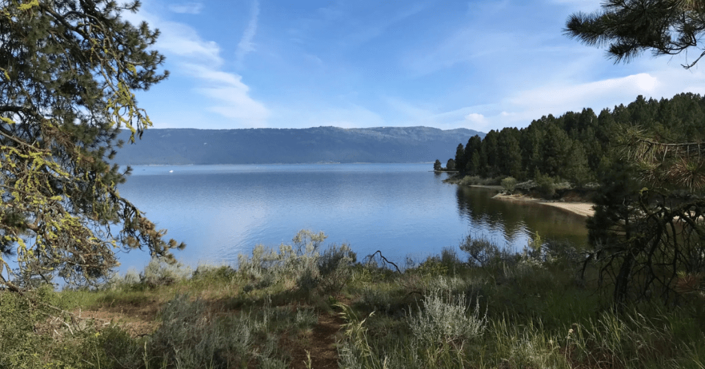 Lake Cascade in Idaho, surrounded by lush greenery and trees, with mountains in the background under a clear blue sky.