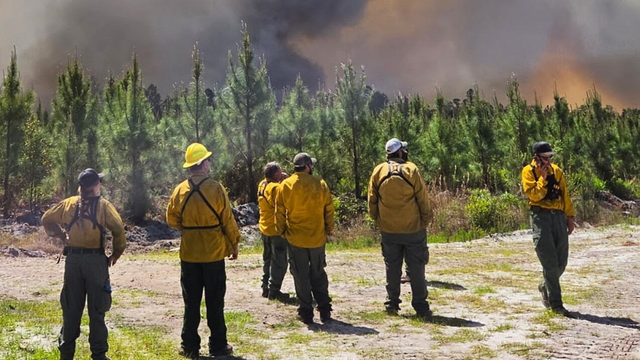 Yearly burn ban begins in 54 Georgia counties amid drought conditions ...