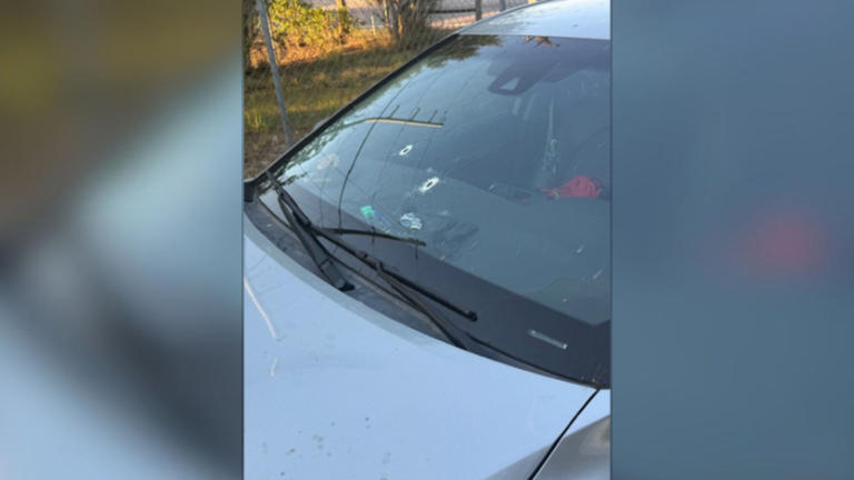 Man arrested after road rage shooting across Hillsborough County roadways