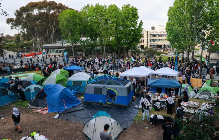Ex-UCSD student sues UC system, San Diego County, over detention at ...