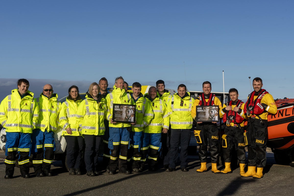'Hero' award for lifeboat crew who rescued dog after sea fall