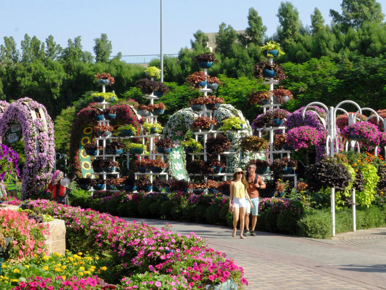 Nine outdoor attractions in the UAE to visit before the summer heat ...