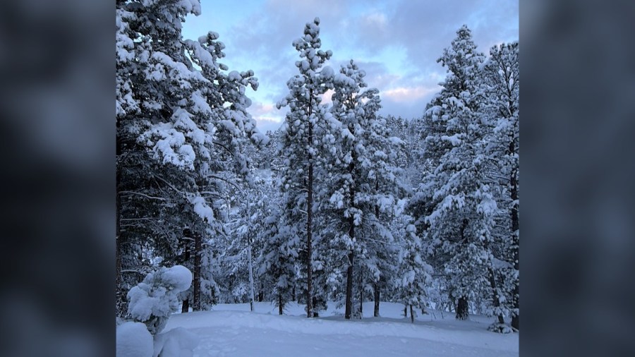 One spot in Colorado had over a foot of new snow to end the week