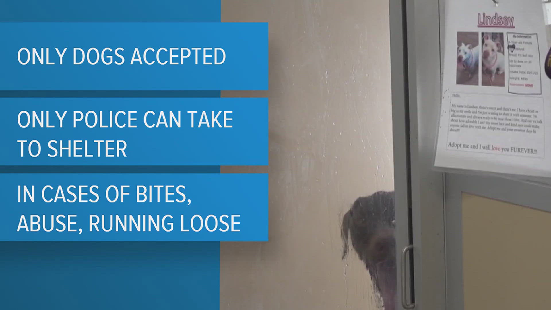 New humane society, police agreement allows for continued animal ...