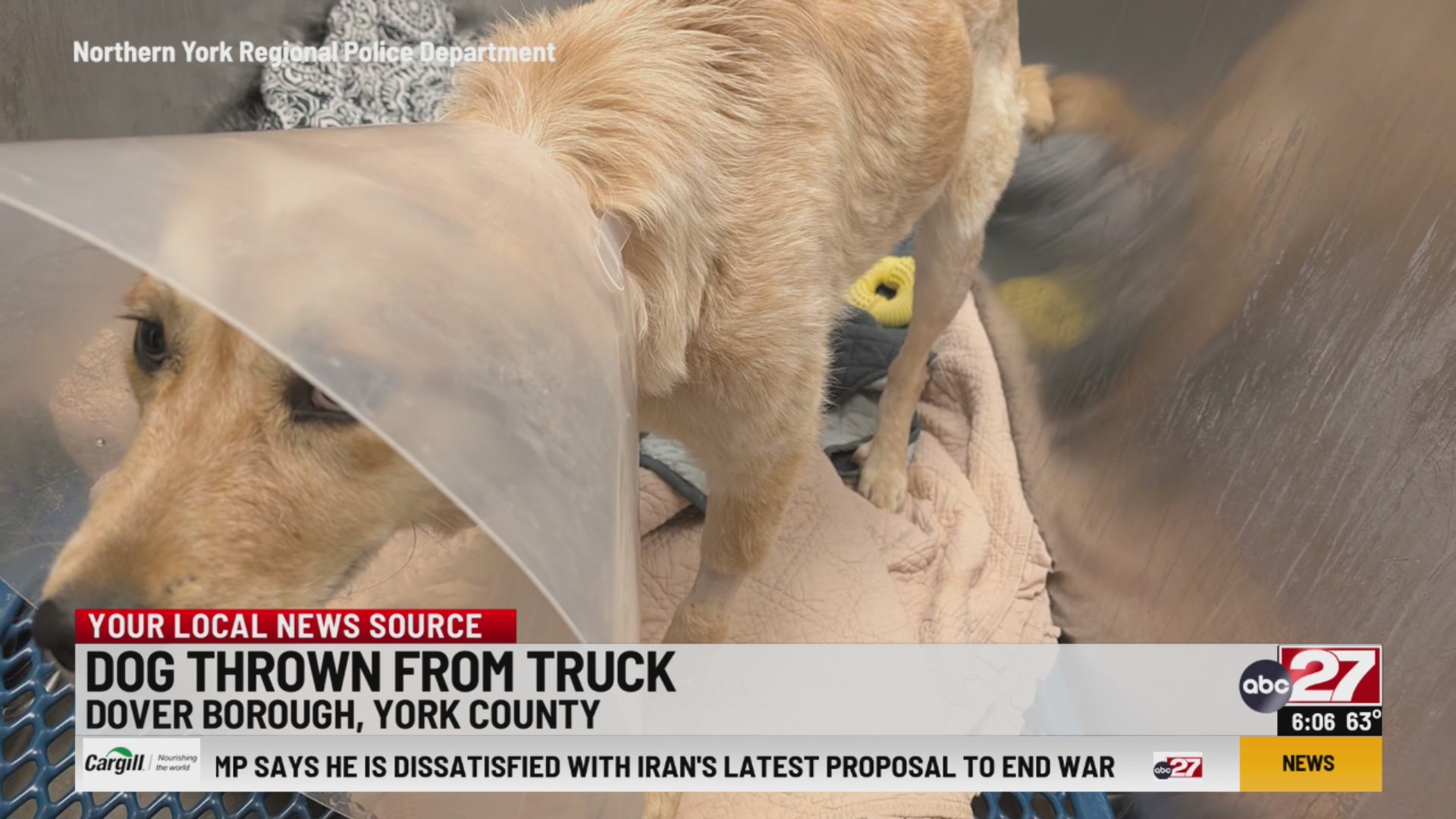 Police investigate report of dog thrown from truck in York County