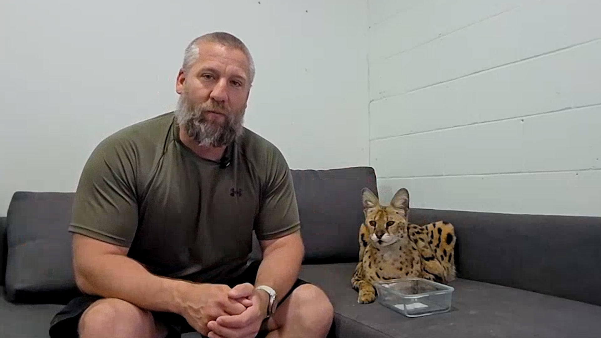 Owner of Gary the serval speaks out over BC exotic cat ban