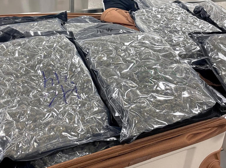 CBP officers seize 57 pounds of marijuana at Dulles